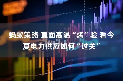 蚂蚁策略 直面高温“烤”验 看今夏电力供应如何“过关”