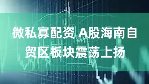 微私寡配资 A股海南自贸区板块震荡上扬