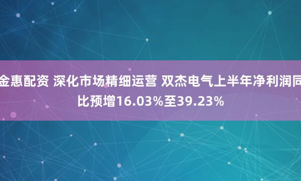 金惠配资 深化市场精细运营 双杰电气上半年净利润同比预增16.03%至39.23%