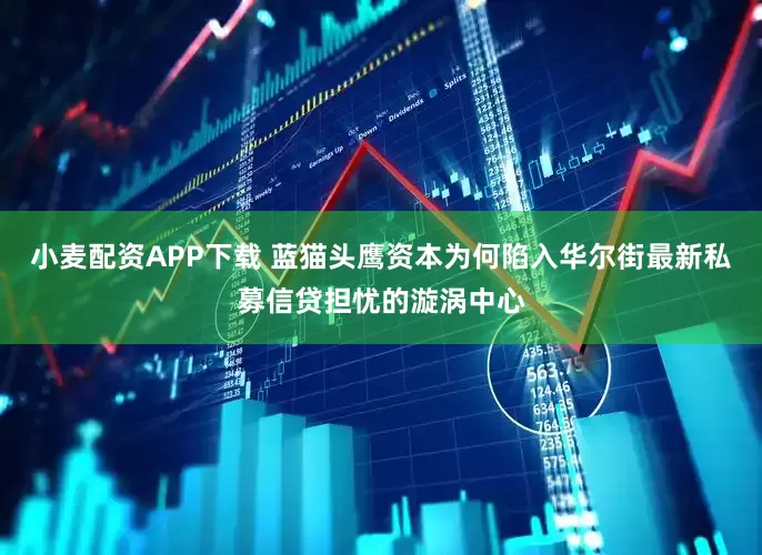 小麦配资APP下载 蓝猫头鹰资本为何陷入华尔街最新私募信贷担忧的漩涡中心